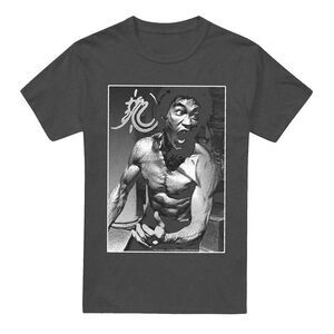 Bruce Lee Unisex Adult Focused Rage T-Shirt / Charcoal